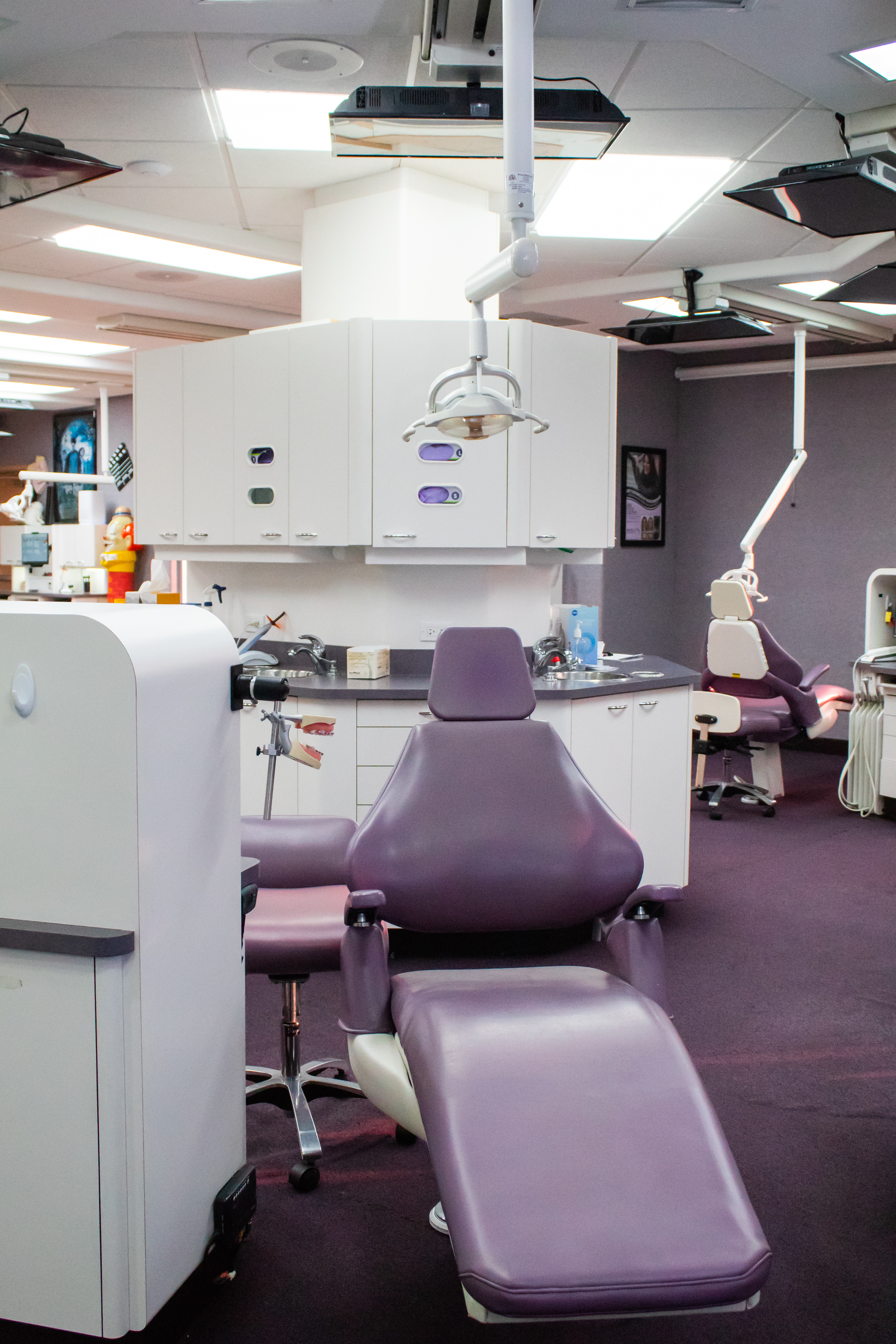 Orthodontic Area Orthodontic Area
